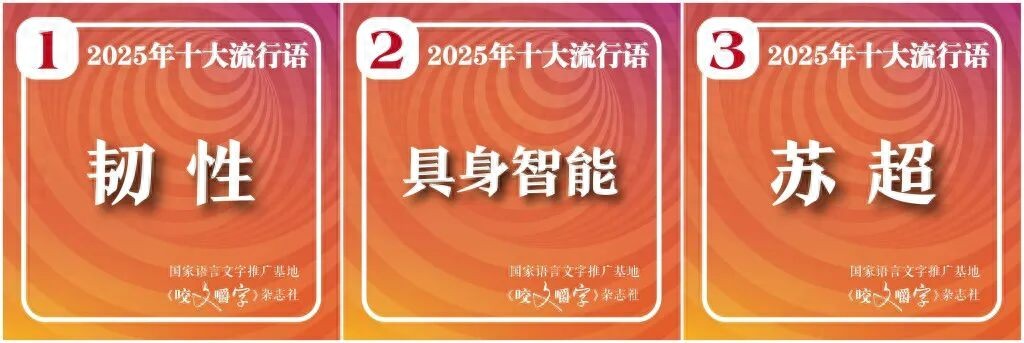 2025年十大流行語發布,“蘇超”高票入選!
